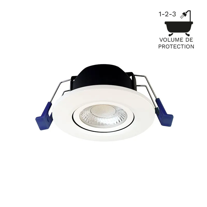 Spotlight étanche ELECTRA Naxo II BBC CCT- 6W 4CCT 600Lm 60°IP65 IRC90 50000H L70B50 TRIAC- Grt 5ans