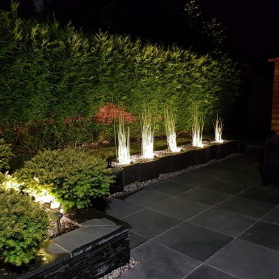 Image2